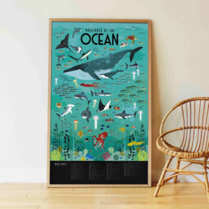 poster animaux marins