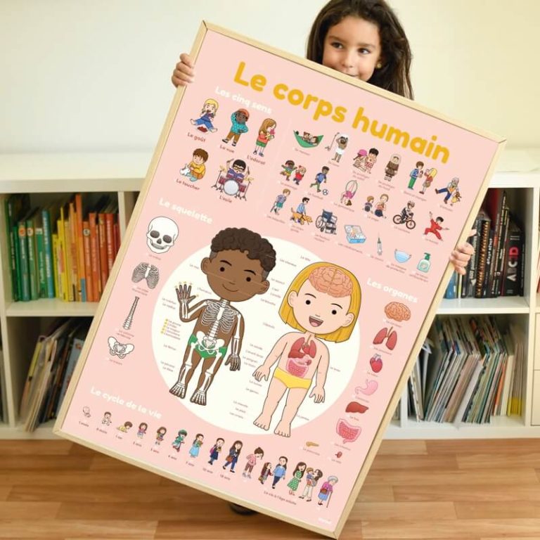 Poster Corps Humain | Affiche et 49 Stickers pour enfants | Poppik Jeux