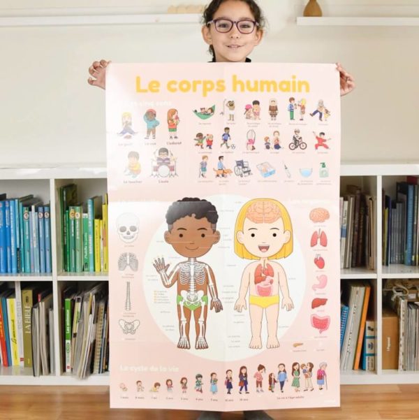 Human Body Poster | Poster and Stickers for kids | Poppik Educational games