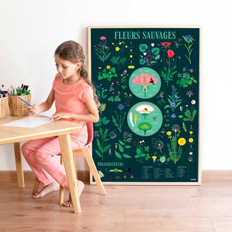 Poster Fleurs Sauvages | Activité pédagogique Enfants | Poppik Stickers
