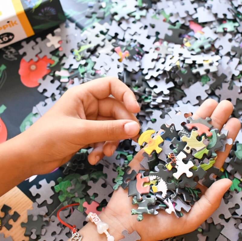 Calendrier de l'Avent puzzle 1000 pièces, jeu d'adresse coloré pour toute  la famille, puzzle adulte à partir de 8 ans : : Jouets