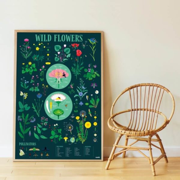 poster fleurs