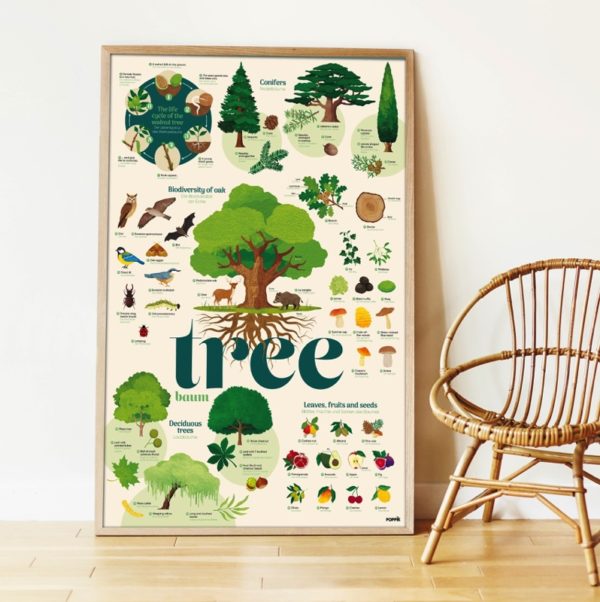 poster arbre